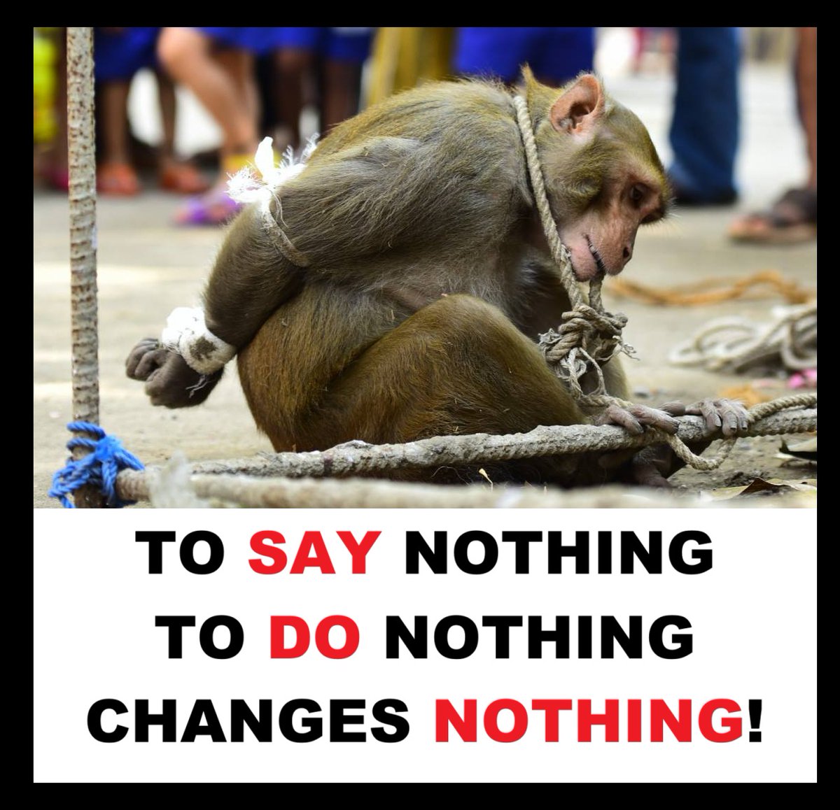 Protect_Wldlife's tweet image. #ThoughtForTheDay.

“Humanity&apos;s true moral test, its fundamental test...... consists of its attitude towards those who are at its mercy:~ ANIMALS!”~ Milan Kundera.