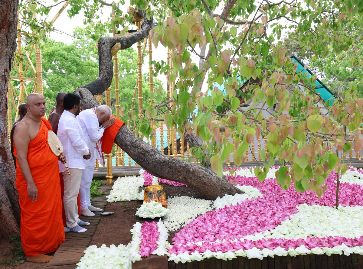 narendramodi's tweet photo. දිසානායක ජනාධිපතිතුමා සමඟ අනුරාධපුර ජය ශ්‍රී මහා බෝධීන් වහන්සේ වැඳ පුදා ගත්තෙමි. බෞද්ධයන්ගේ වඩාත්ම ගෞරවාදරයට පාත්‍ර වූ පුදබිමක කාලය ගත කිරීම කුදු බව පසක් කරන මොහොතකි. එය සාමය, බුද්ධිය සහ ආධ්‍යාත්මික අඛණ්ඩතාවය පිළිබඳ ජීවමාන සංකේතයකි. බුදුන් වහන්සේගේ ඉගැන්වීම් සැමවිටම අපට මඟ පෙන්වනු ලැබේවායි ප්‍රාර්ථනා කරමි.

@anuradisanayake