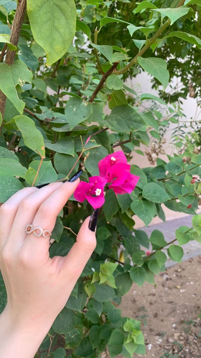 Nour🇸🇦✨ tweet media