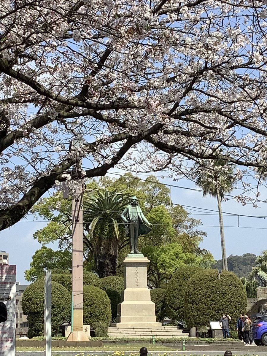ishin_furusato's tweet photo. 維新ふるさと館周辺の桜の様子です😊満開間近といったところでしょうか🌸　#維新ふるさと館　#お花見日和 https://t.co/gFAj7NdTPb