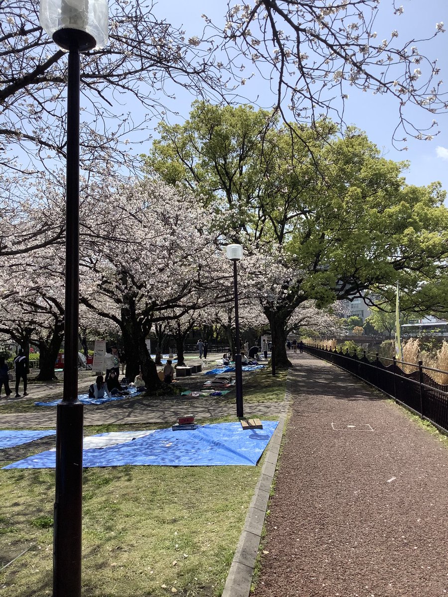 ishin_furusato's tweet photo. 維新ふるさと館周辺の桜の様子です😊満開間近といったところでしょうか🌸　#維新ふるさと館　#お花見日和 https://t.co/gFAj7NdTPb