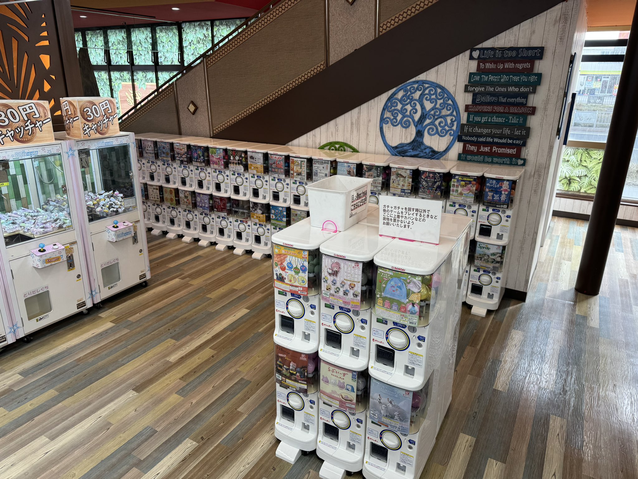 キャッツアイ東苗穂 ゲームコーナー (@catshigasi) / X キャッツアイ東苗穂 ゲームコーナー (@catshigasi) / X