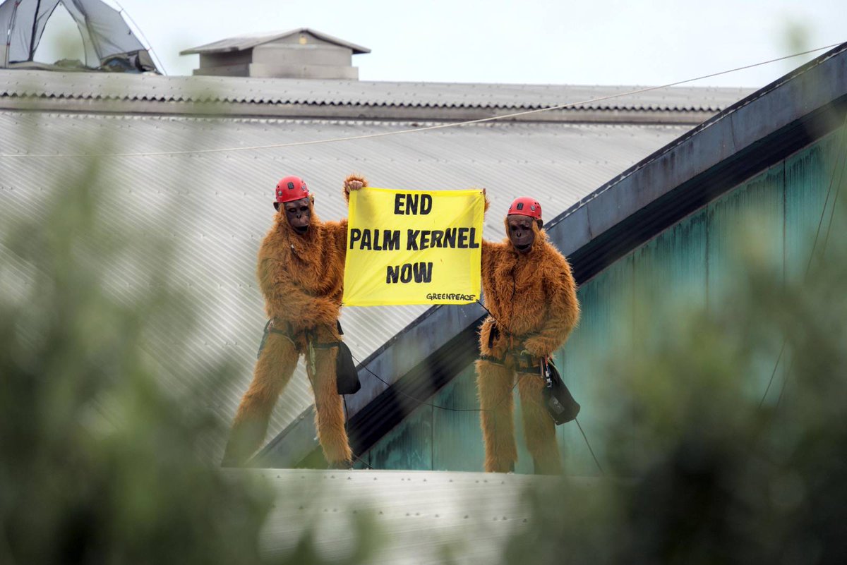 Fonterra markets its Anchor butter as ‘grass-fed’, but it's a deception. Fonterra dairy cows are fed almost two million tonnes of palm kernel imported from Southeast Asia every year.

Rainforests are being burned, peatlands are being drained, rows of palm trees are being planted