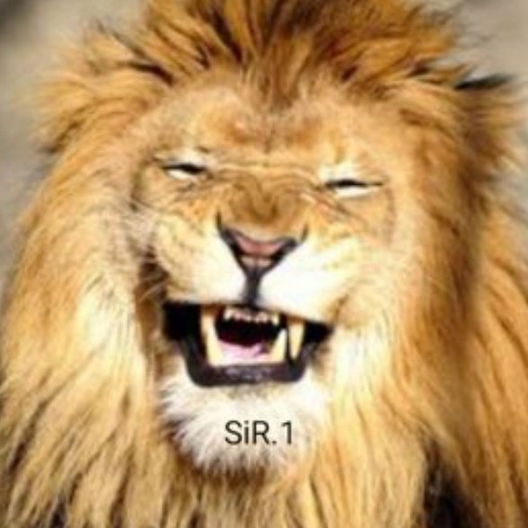 sirOne. (@kssirone) on Twitter photo <a href="/Munaf_Ali/">Munaf Ali</a> <a href="/aniltyagi11/">Anil Tyagi</a> <a href="/Sub_Zaar/">Tahir Wani</a> <a href="/SyedAsg40342647/">Syed Asgar</a> hota hai...
or ye b
#Jigar🎂
Ishq Mein ...
Laajawaab Hain .. Ham Log
Maahtab ...
Aaftab Hain .. Ham Log
Tu Hamara ...
Jawaab Hai .. Tanha
Aur Tera ...
Jawaab Hain .. Ham Log .
#Shair <a href="/Munaf_Ali/">Munaf Ali</a> <a href="/aniltyagi11/">Anil Tyagi</a> <a href="/Sub_Zaar/">Tahir Wani</a> <a href="/SyedAsg40342647/">Syed Asgar</a> hota hai...
or ye b
#Jigar🎂
Ishq Mein ...
Laajawaab Hain .. Ham Log
Maahtab ...
Aaftab Hain .. Ham Log
Tu Hamara ...
Jawaab Hai .. Tanha
Aur Tera ...
Jawaab Hain .. Ham Log .
#Shair
