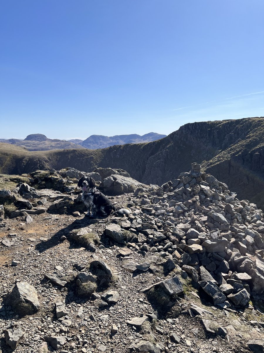 potterscfc's tweet photo. A great day yesterday in the #westernlakes ticking off the last 6 #wainwrights  to complete the set. 27 to go! 187/214. https://t.co/0LAgZY5zL3