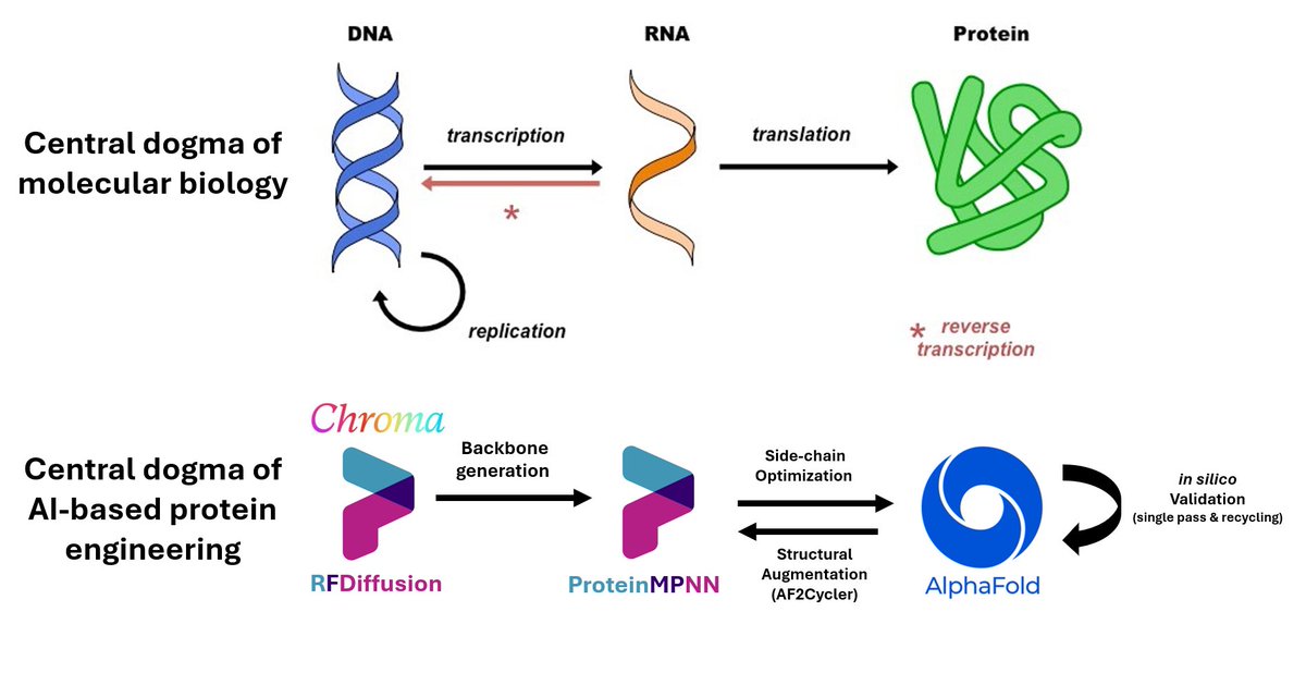 Haha, that's funny "the Central dogma of AI-based protein engineering".