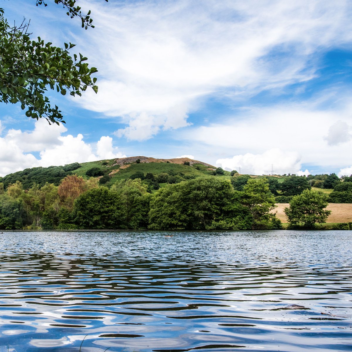 Join us today (Sunday 6th April) for a litter pick! Meet in the courtyard at 11am.  Refreshments provided - all welcome!