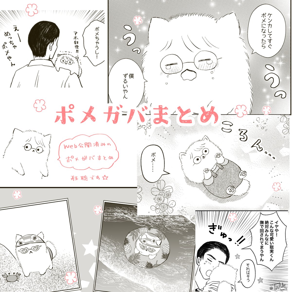 タネ🐶 tweet media