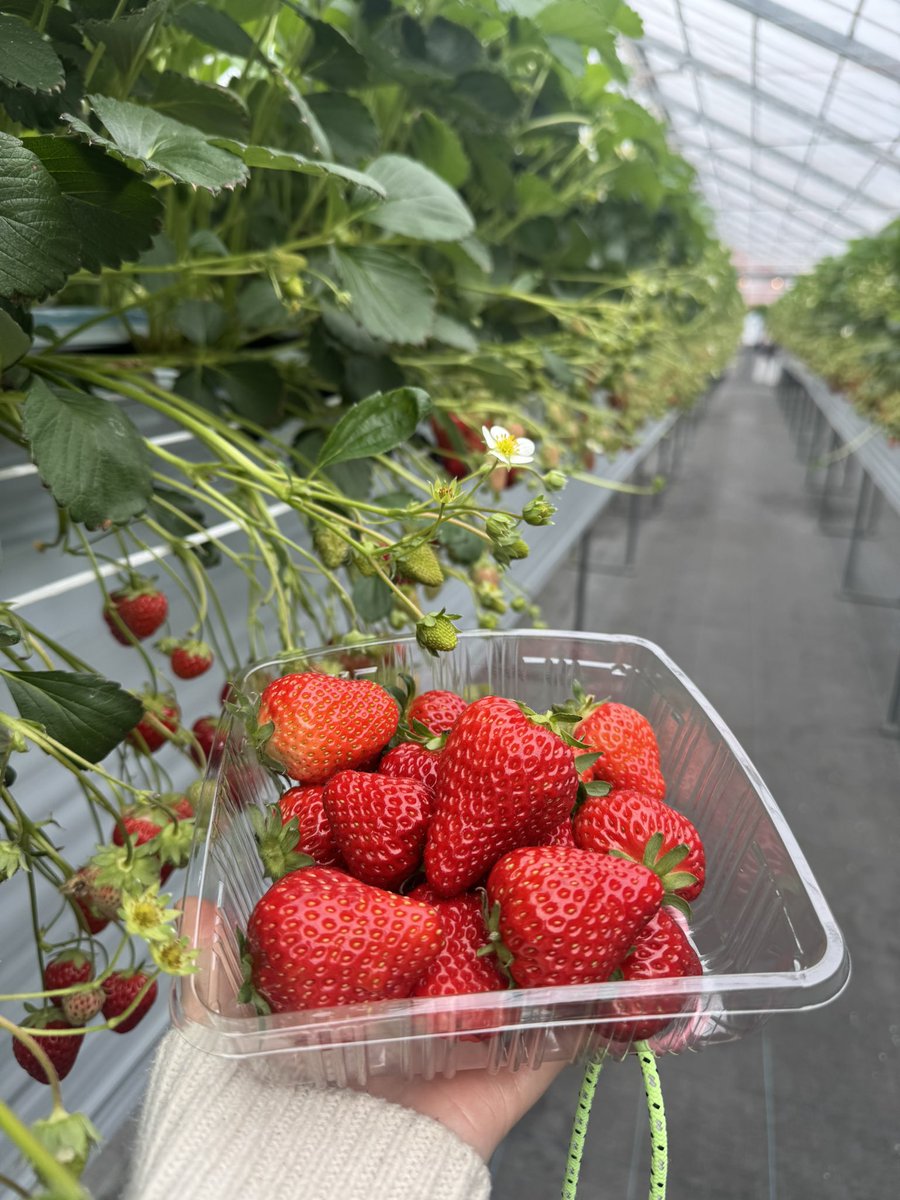 花y…ページ•*¨*•.¸♬︎ X（旧Twitter）で話題のおもしろ画像や動画 - Yahoo!リアルタイム検索