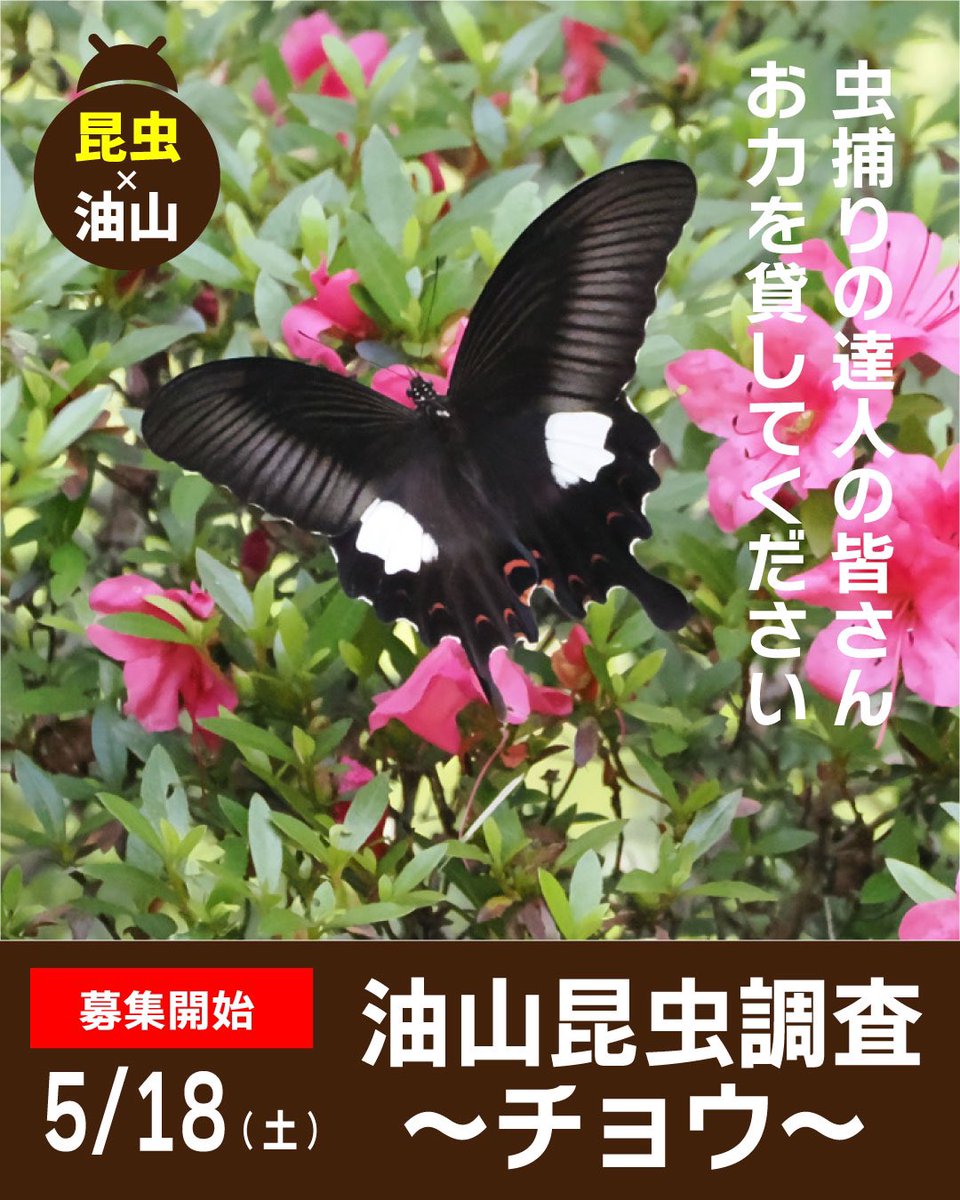 \募集開始/

ABURAYAMA FUKUOKAのスタッフと、本気の昆虫調査をします。この時期に見られるチョウ類を目視や採集で確認していきます。
2時間程森を歩ける虫好きであれば、おとなも子どもも問いません！
今回のテーマは「チョウ」です。

※詳細・お申込はこちら
▼▼▼
x.gd/ArKXY