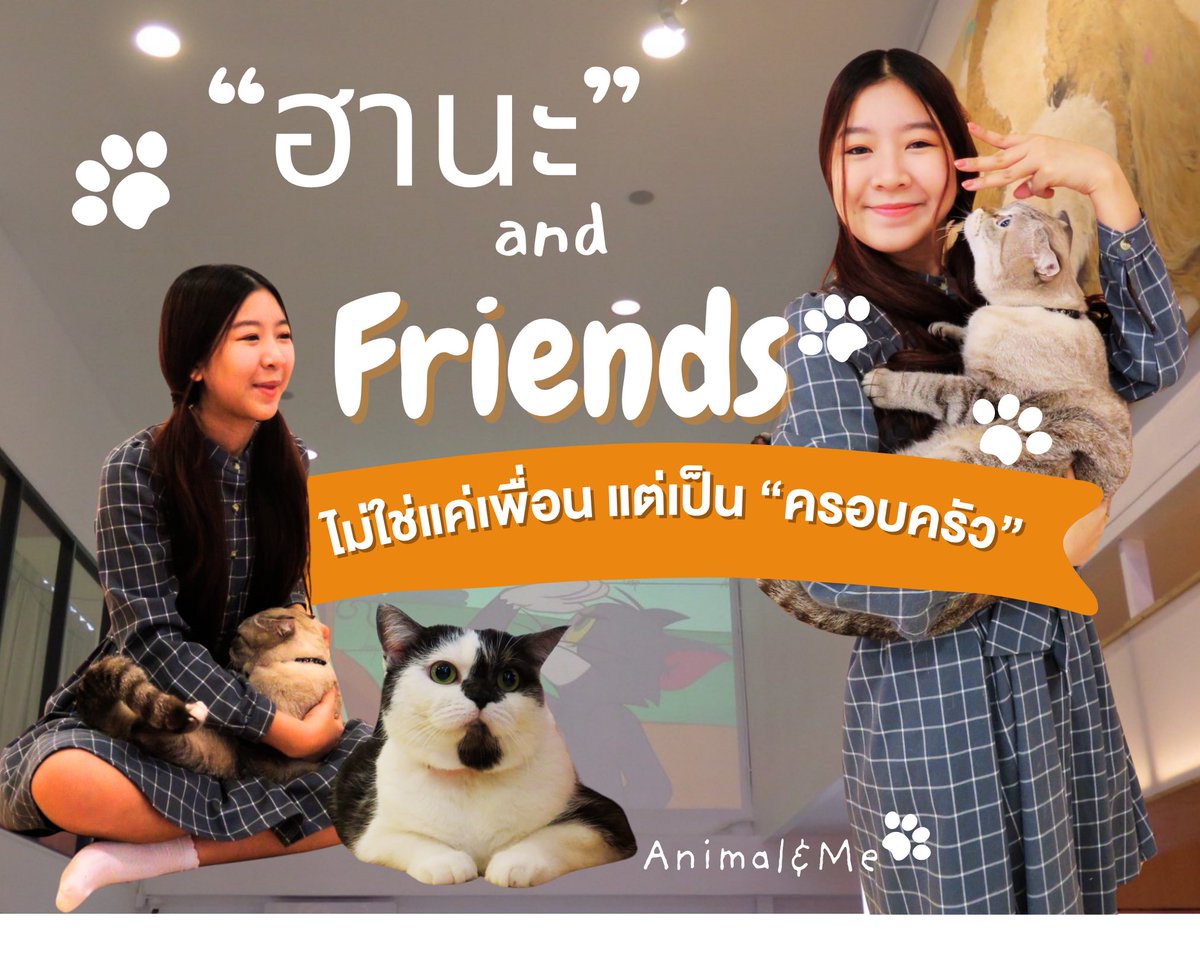 Backbone MCOT tweet media