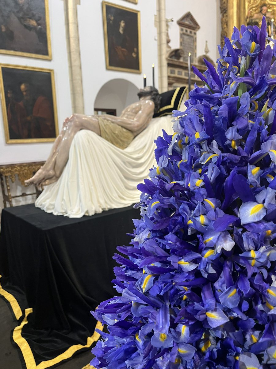Lirios en San Andrés para el Besapiés al Santísimo Cristo de la Caridad de la <a href="/hdadsantamarta/">Hdad. de Santa Marta</a>