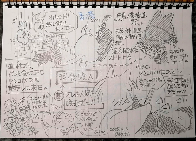 【TARUHI さんぽ】香港。旺角の花屋街。放し飼いのワンコと遊ぶw遥か昔には、日本にもこういう風景普通にあったなぁ。噛み噛み認定タグが興味深い。ワンコ用公衆トイレもあった。リード付けられた犬は一度も見なかった。 