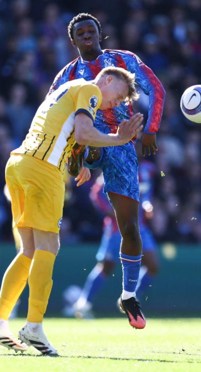 Glenn Brewer tweet media