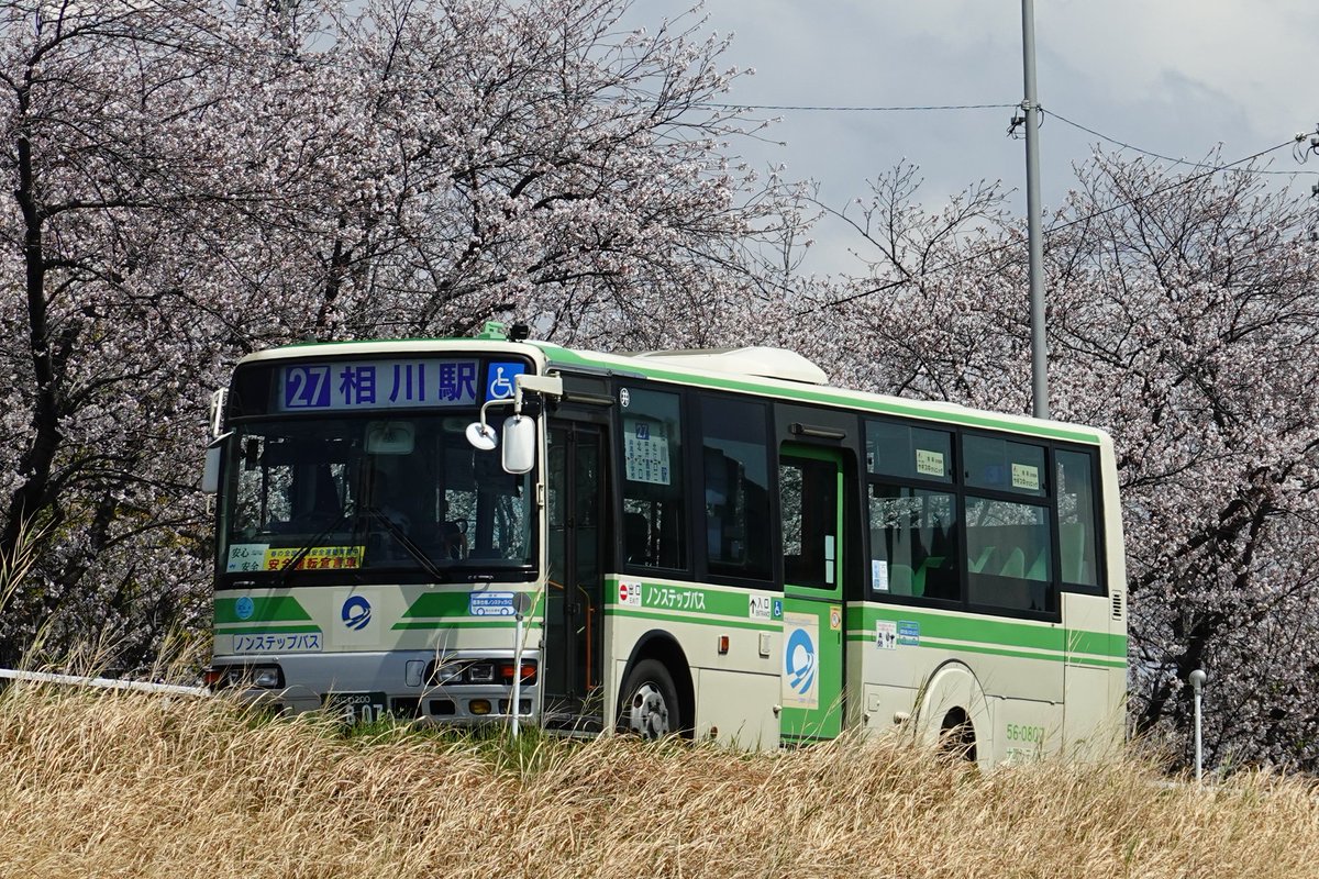 DAIYA フリクションシティバス 1234 DAIYA フリクションシティバス 1234 DAIYA フリクションシティバス