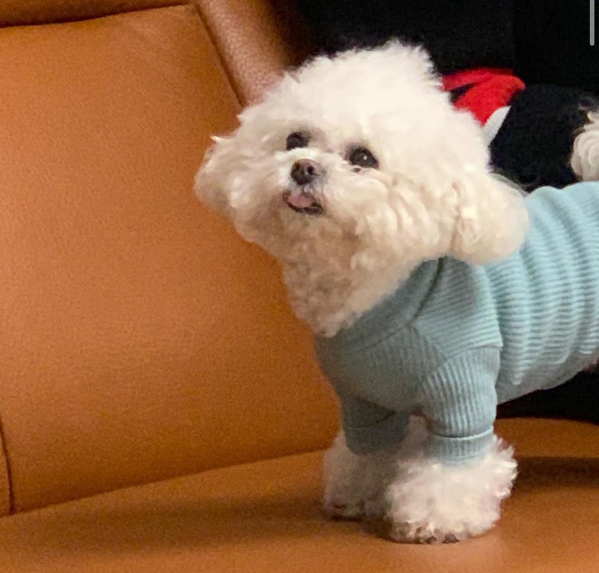 Hpbd <a href="/mitgyukim/">Mingyu</a>