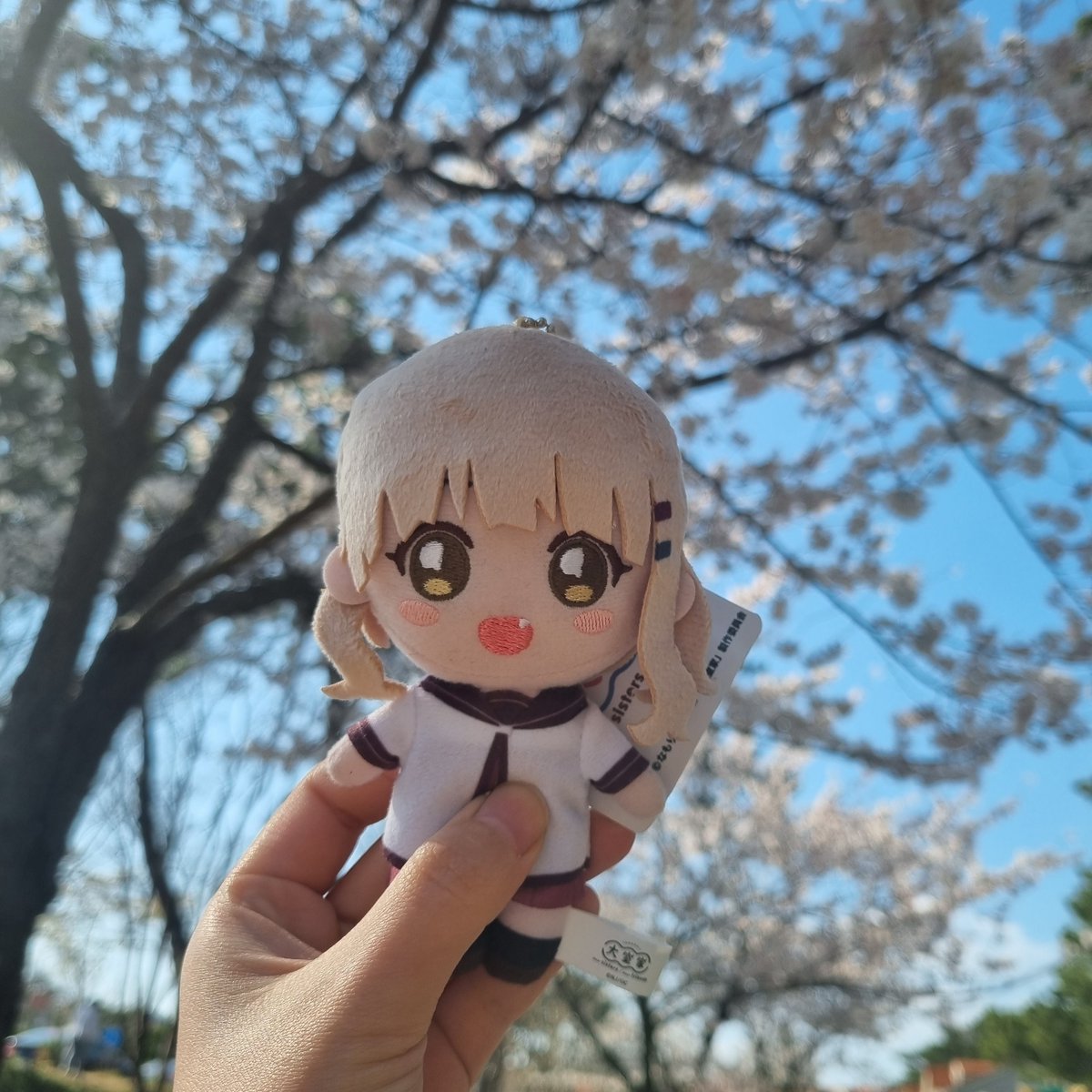 yami_0907's tweet photo. 桜🌸 https://t.co/rxQ2eeM88x