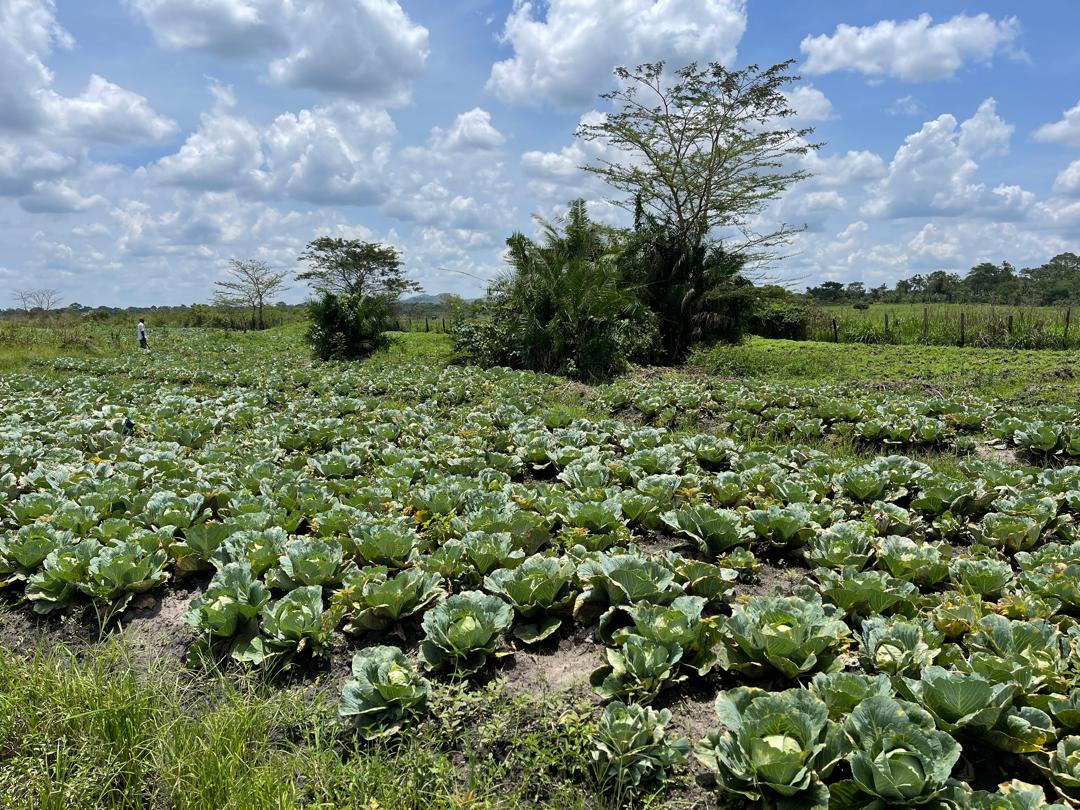 <a href="/ruforumsec/">RUFORUM</a> ES ( Prof. Patrick Okori) visit to <a href="/4PillarGiveback/">4-PILLARNETWORK</a> give an enormous energy and spirit for a better, a moment of realization, evaluation and counter check on what we are offering and what we could do best to reach out to all target population. <a href="/AnthonyEmaru/">Anthony Emaru</a> <a href="/DenisEmiu/">Emiu Denis</a>