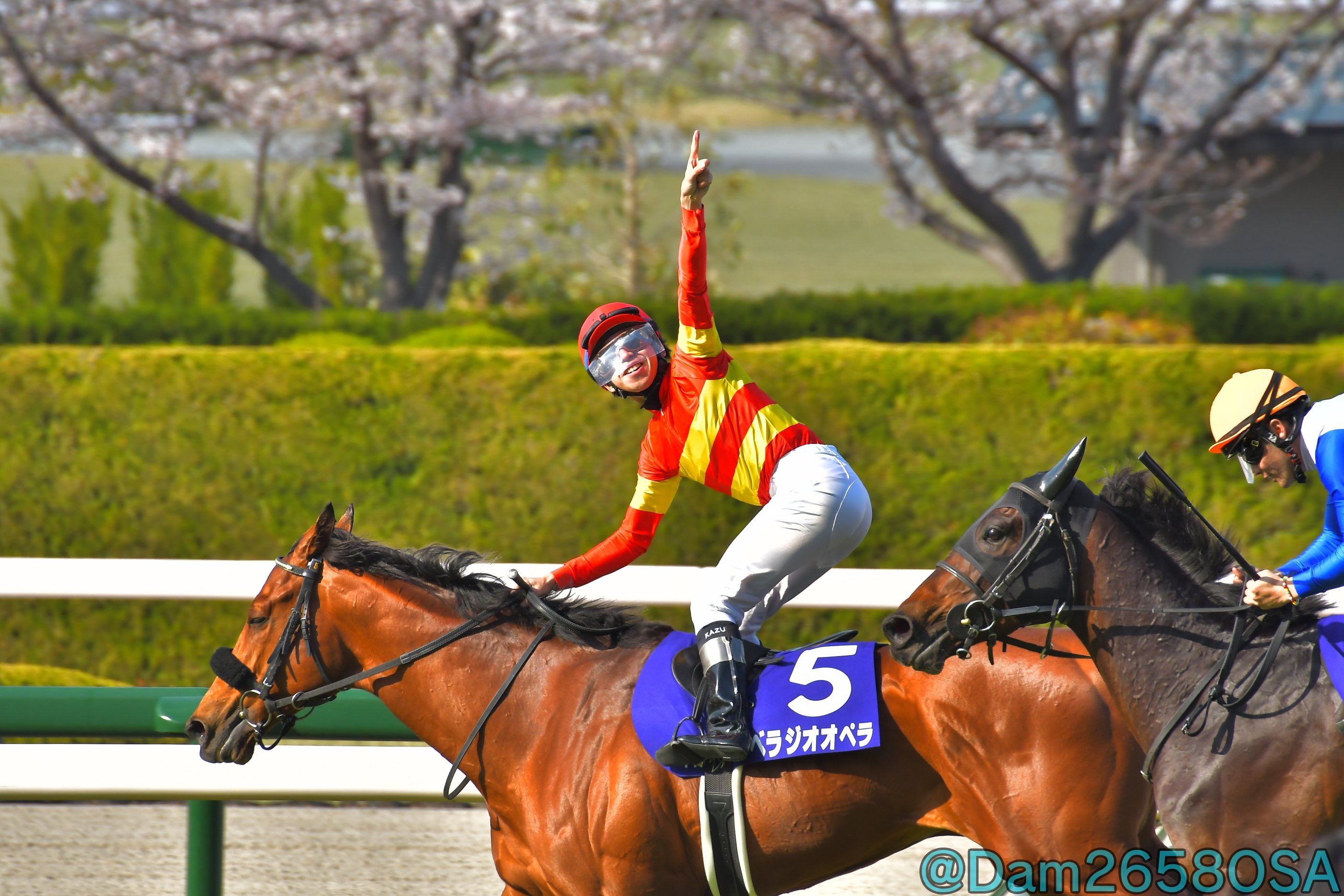 べラジオペラ ホースレーシング 横山和生 サイン ホスレ 競馬 G1 べラジオペラ ホースレーシング 横山和生 サイン ホスレ 競馬 G1