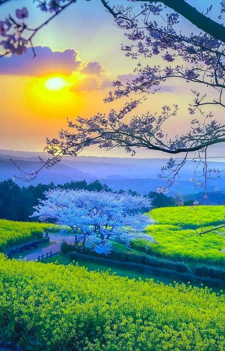 “Be Happy ..”🌞

Good Morning .. Blessed Sunday ..