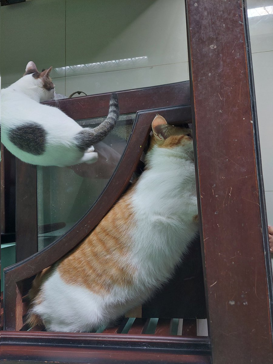 Jam jam rawan ngantuk