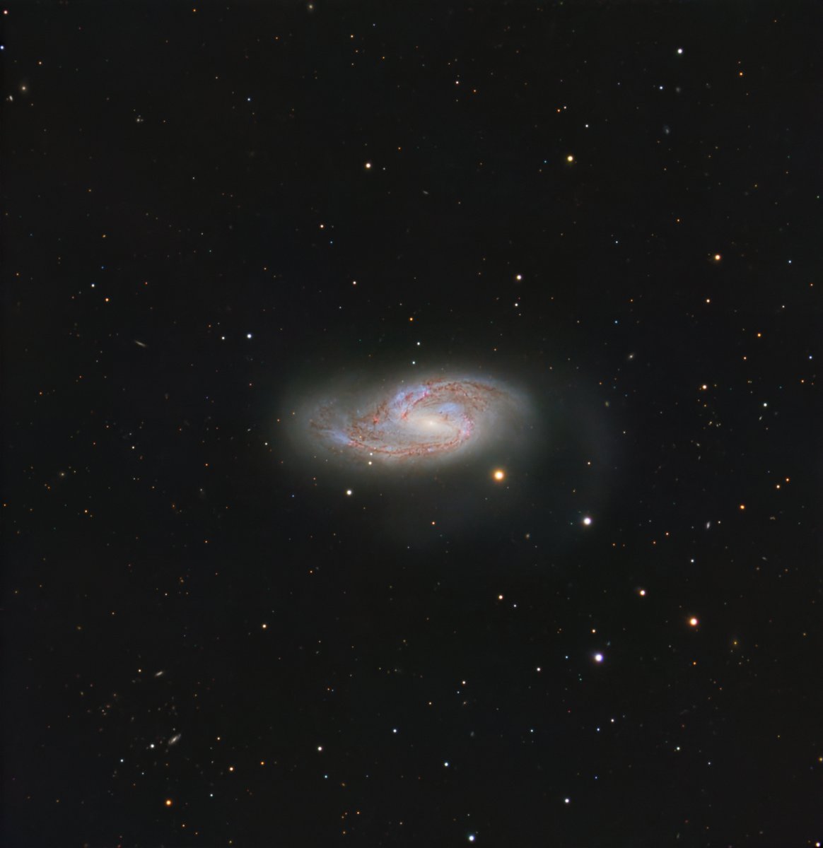 Messier 66 of the Leo Triplet. 

Another one of my personal favourites in the northern sky.  

14h worth of data with the C8@f/7, ToupTek ATR3 CMOS 09000 KPA