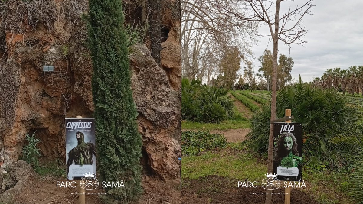 🦸‍♀️ ¡Ven a conocer a nuestras superheroínas y a nuestros superhéroes de esta temporada! 🦸‍♂️

Descubre qué árbol representan Tilia y Cupressus y elije a tu favorita o favorito 😃

¡Y únete a la Liga Verde del Parc Samà! 💚 

#Cambrils #CostaDaurada #Tarragona