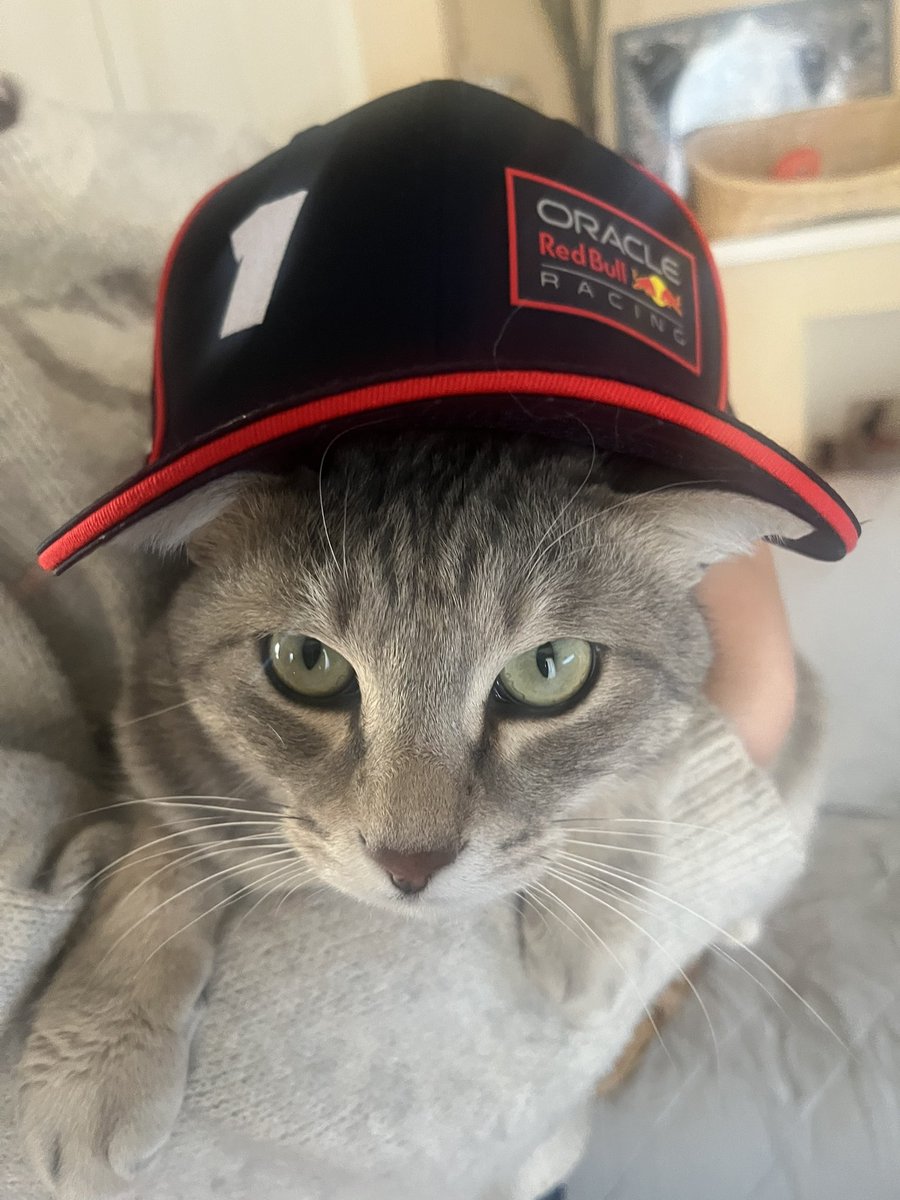 takachaspl's tweet photo. マックス凄かった〜！
#f1jp https://t.co/QHTuQcFTkI
