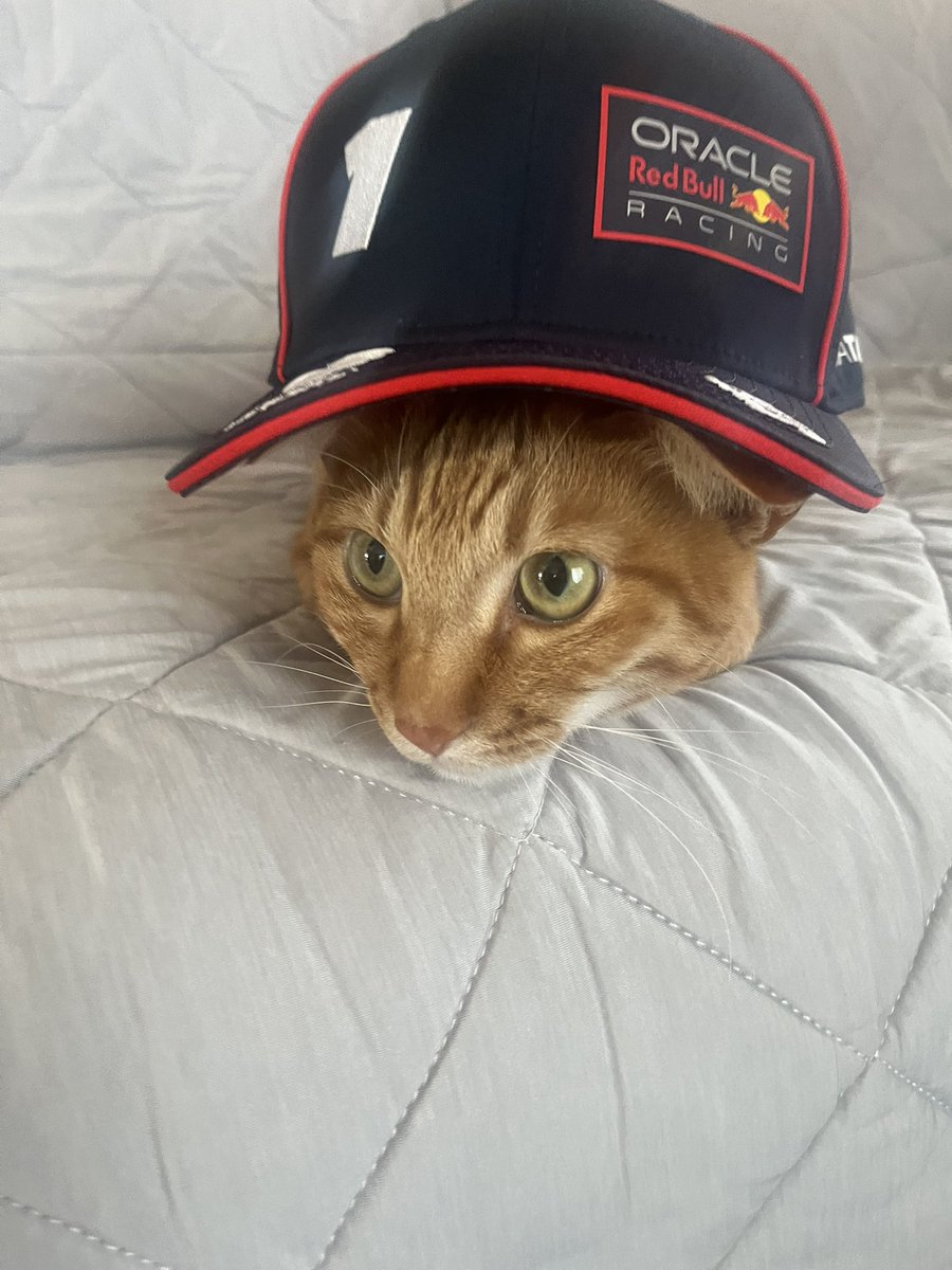 takachaspl's tweet photo. マックス凄かった〜！
#f1jp https://t.co/QHTuQcFTkI