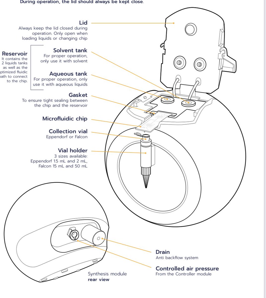Jᴜʟɪᴇɴ tweet media