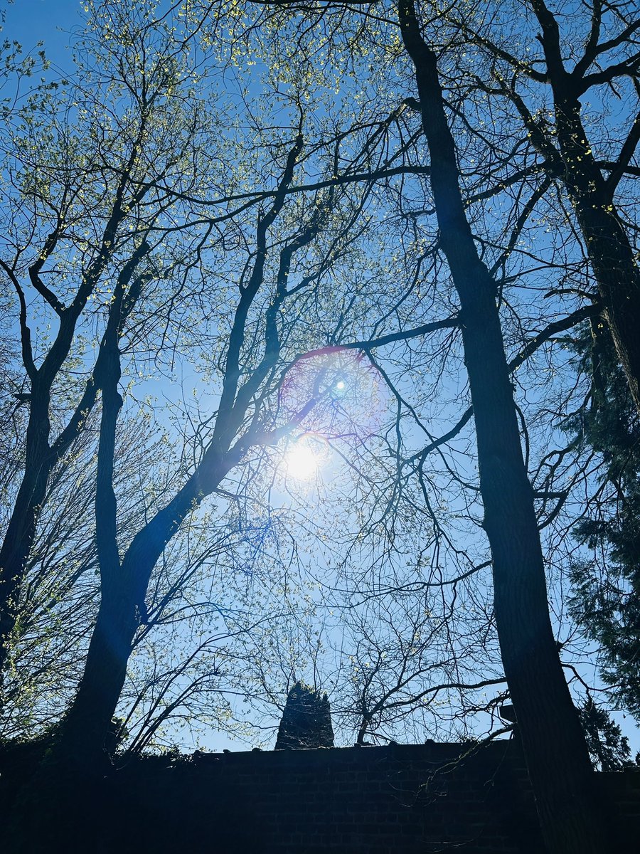 Chris_Brussels's tweet photo. Bon dimanche à toutes et à tous. 🙋♂️😎☀️🌳
#sundayvibes #promenadeverte #Bruxelles #Brussel #Brussels 🇧🇪🇪🇺 https://t.co/8UyLlwDCKn