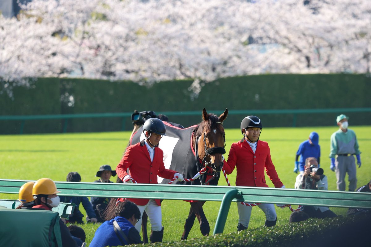 nanashi_keiba_7's tweet image. #べラジオオペラ＆#横山和生