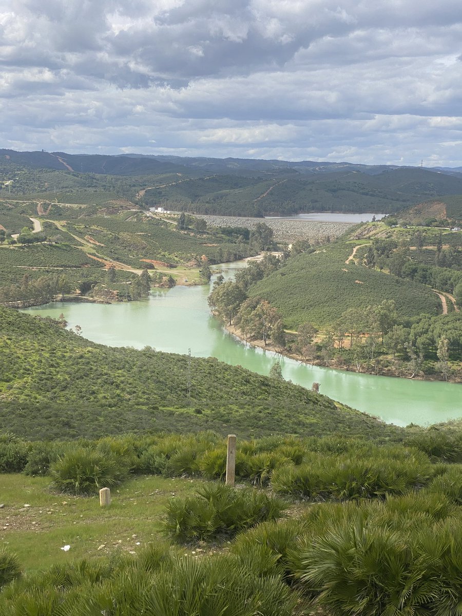 Jesus M. Castillo tweet media