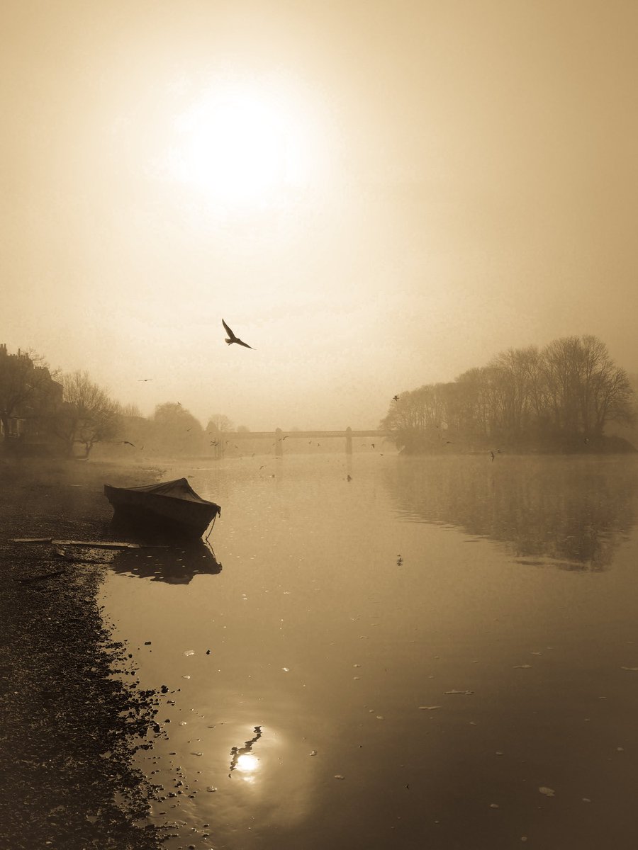 Alastair Hilton (@london_w4) on Twitter photo Birds flying high, you know how I feel
Sun in the sky, you know how I feel
Breeze driftin' on by, you know how I feel
It's a new dawn
It's a new day
Words by Nina Simone. 
Photo by me of sunrise over the Thames in Chiswick, London. Birds flying high, you know how I feel
Sun in the sky, you know how I feel
Breeze driftin' on by, you know how I feel
It's a new dawn
It's a new day
Words by Nina Simone. 
Photo by me of sunrise over the Thames in Chiswick, London.