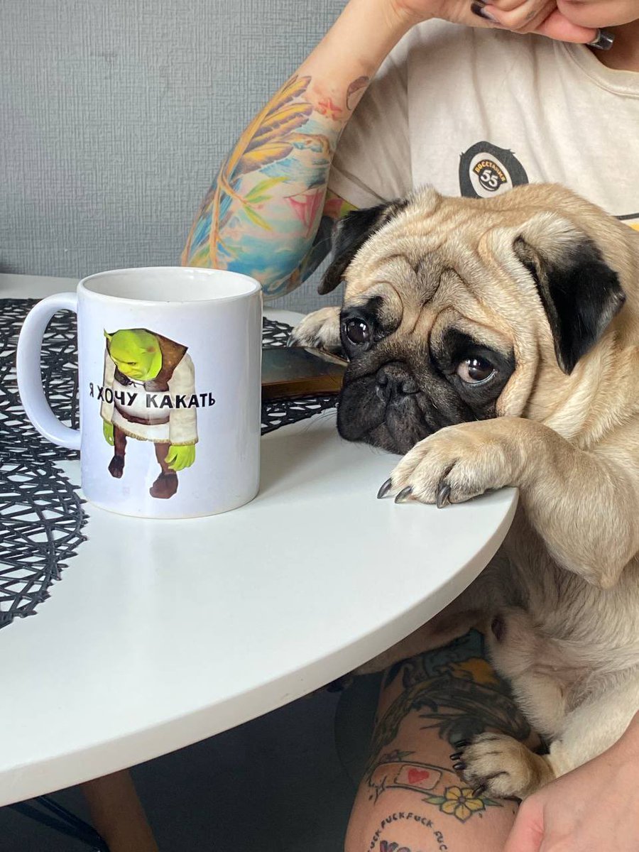 Рафлик 💕✨