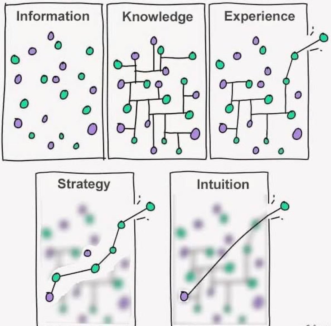 Information vs knowledge