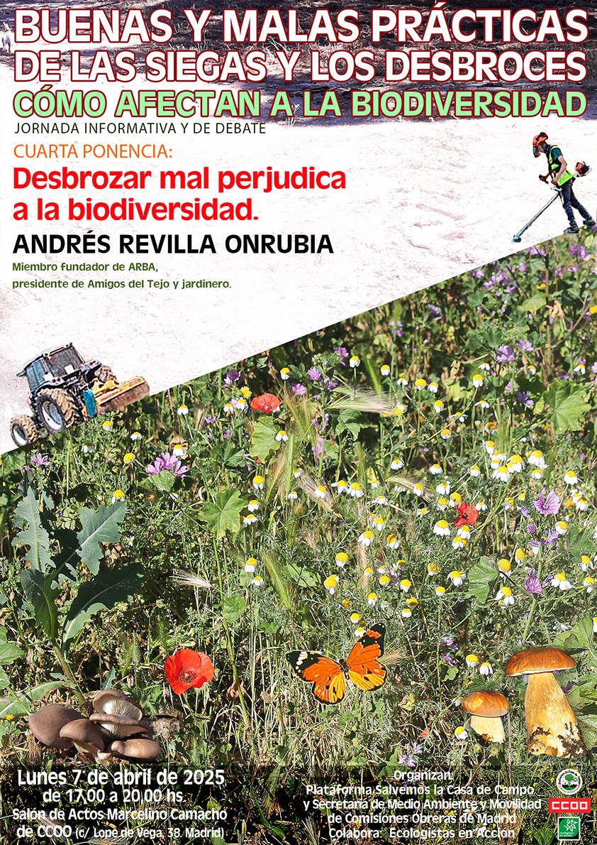 AVANCE JORNADA DE SIEGAS Y DESBROCES. CUARTA PONENCIA: DESBROZAR MAL AFECTA A LA BIODIVERSIDAD. …rmasalvemoslacasadecampo.blogspot.com/2025/04/avance…