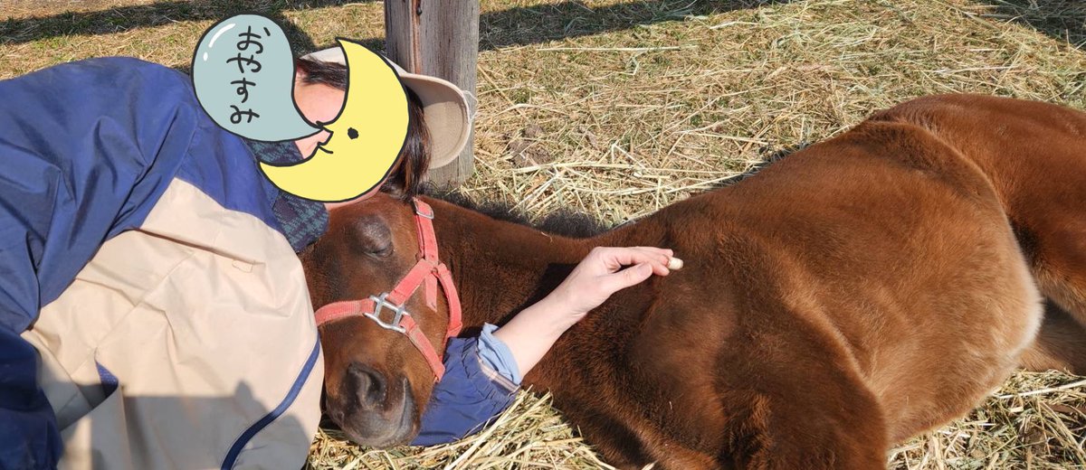 自家製Yogibo(魔の手付き)