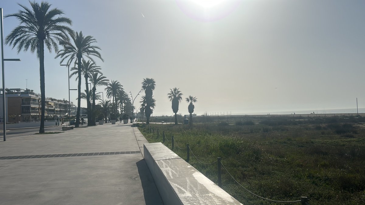 21Million__'s tweet image. Is Barcelona already orange pilled? Plan To do so This week. 

#bitcoinfashion
#bigproject 
#newcollection