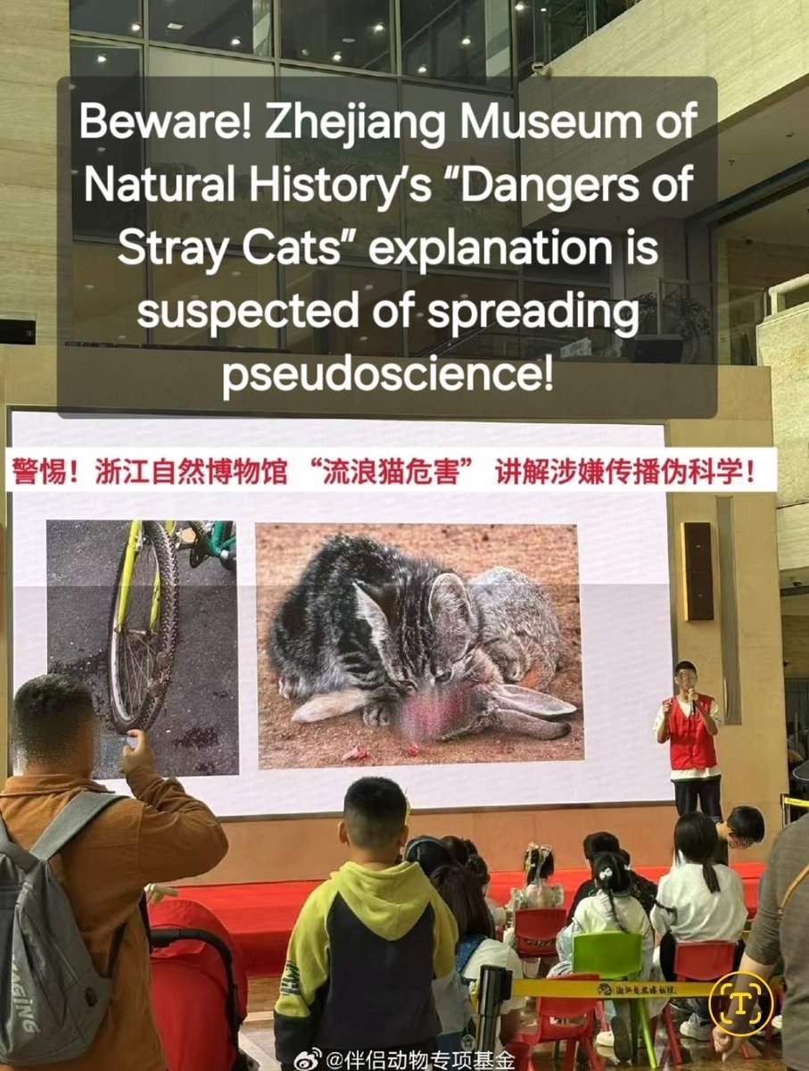 China, April 5, 2025: Zhejiang Museum of Natural History, when explaining to minors, the staff defined #straycats as alien species, and showed bloody scenes of kittens eating rabbits to illustrate the "danger" of them.

In reality, there's no research support to this. 

#cathate