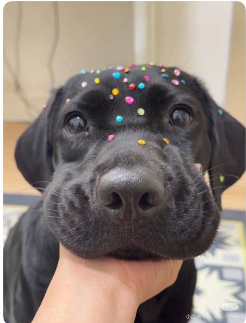 رستا🧚🏼‍♀️ tweet media