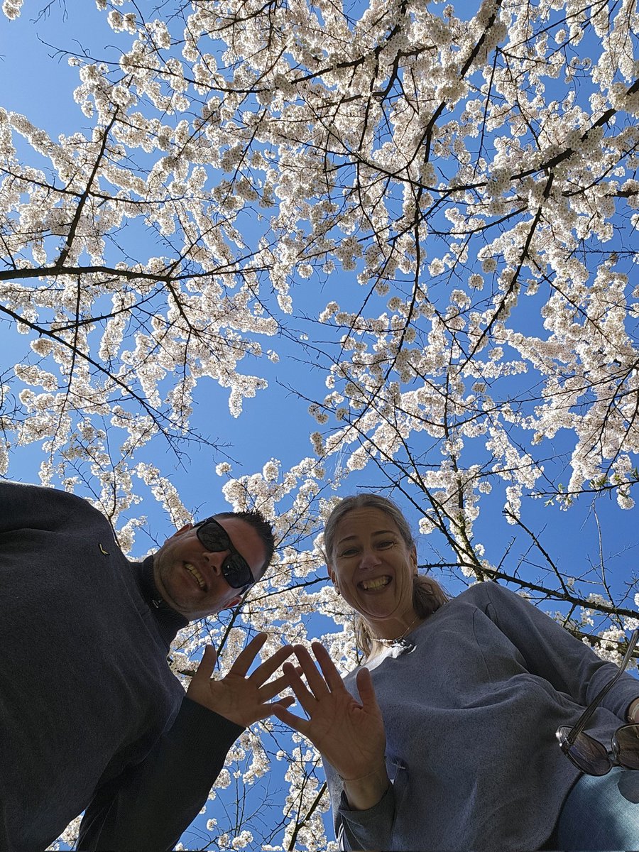 #aboutlastweek #kinderdijk #bloesempark #amsterdam 🌸
