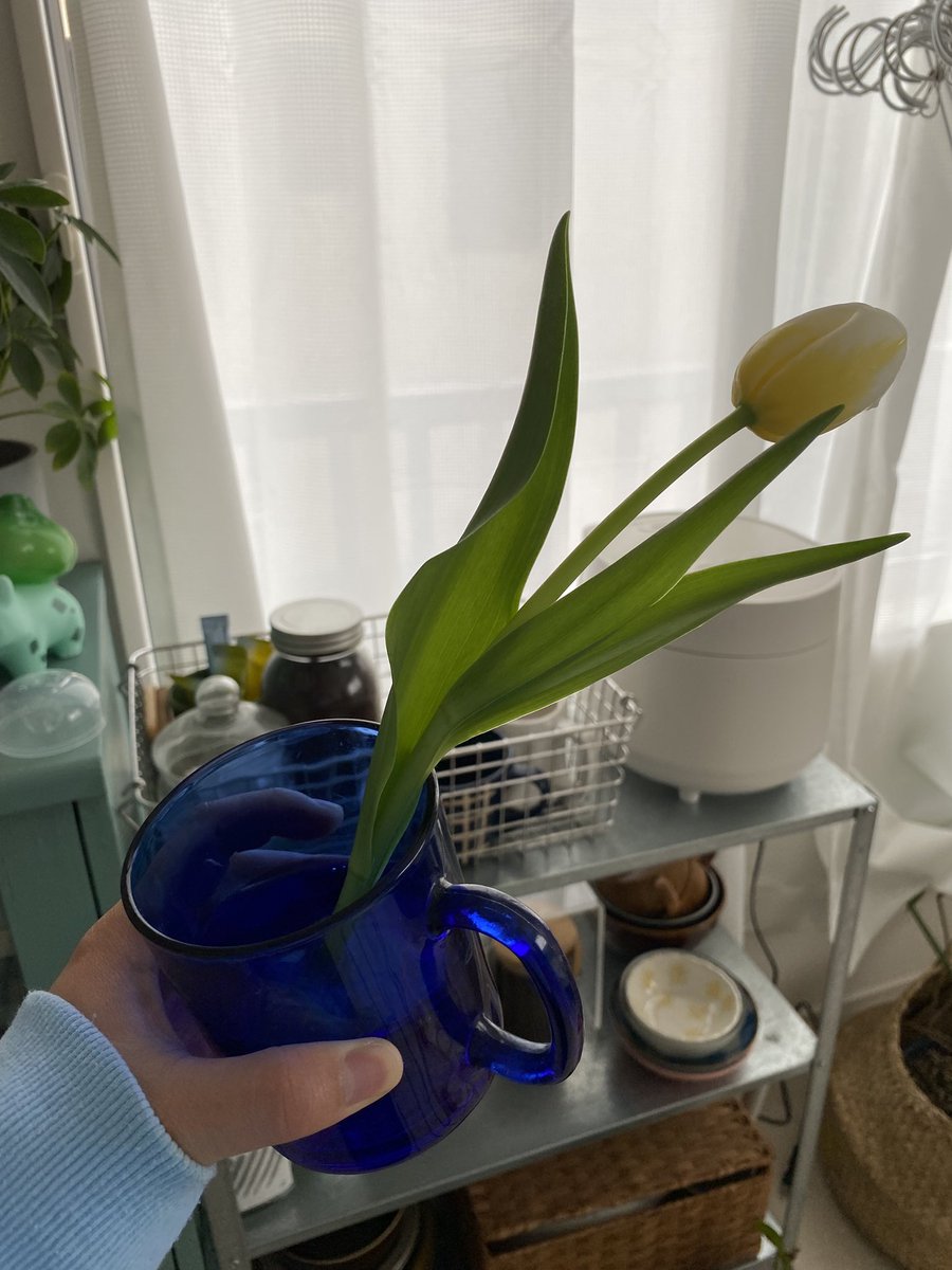 emuco79's tweet photo. 🌷 https://t.co/RkRhe4gQhH