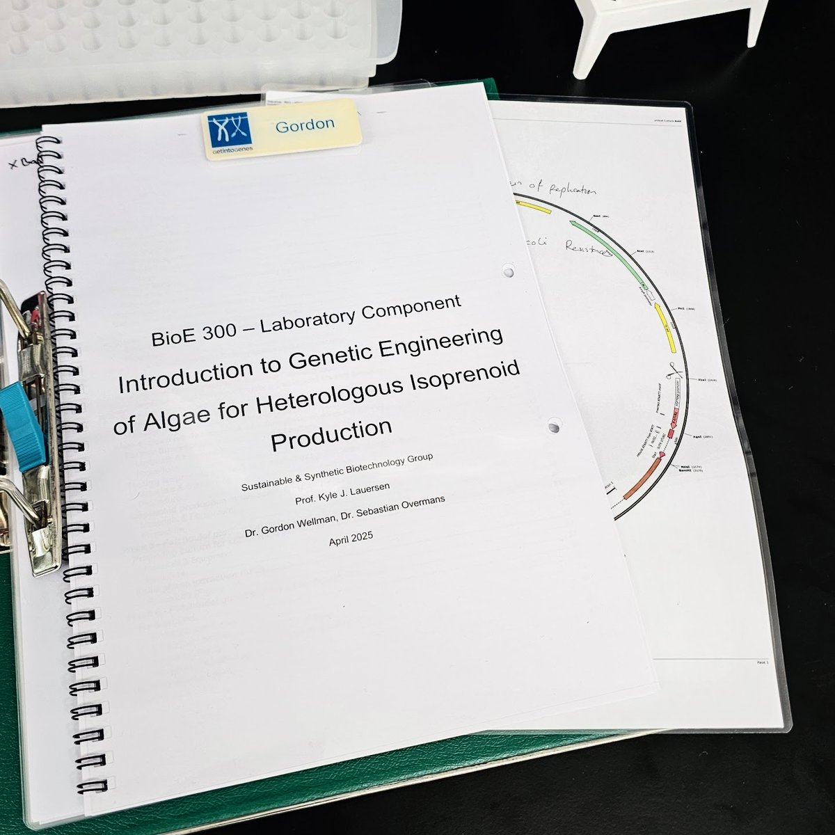 Excited to kick off another year teaching the practical component of BioE300: Introduction to Genetic Engineering of Algae! Proud to still wear my badge from ACPFG's "Get Into Genes" program. Here's to another amazing semester! 🌱🧫 🦠✨