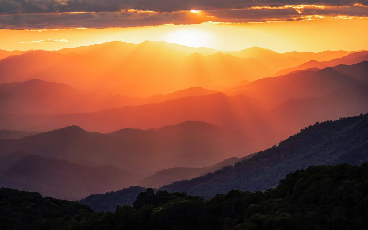 Jack Ouellette tweet media