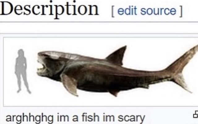 ᅠ𝑹𝑬𝑪𝑯𝑨𝑹𝑮𝑬𝑫 ٭ (@sacredshock) on Twitter photo 