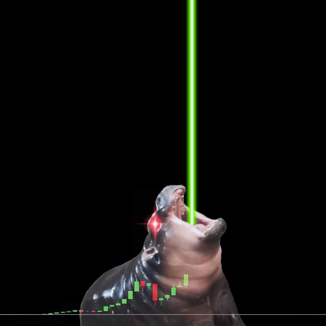 HamidimizS's tweet image. $MOODENG WILL SURPRISE EVERYONE! 

The turnaround will be mercilessly fast!

$MOODENG
#MooDengSOL 

@coinbase @HTX_Global @MEXC_Official @bitvavocom @Bybit_Official @binance @Binance_TH_ @kucoincom