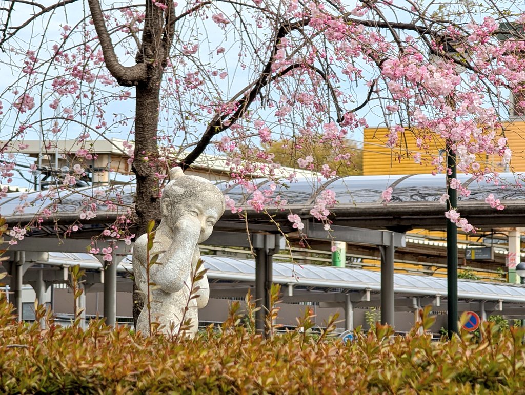 itanium103's tweet photo. 🌸🌸🌸 https://t.co/BG9KOAFERW