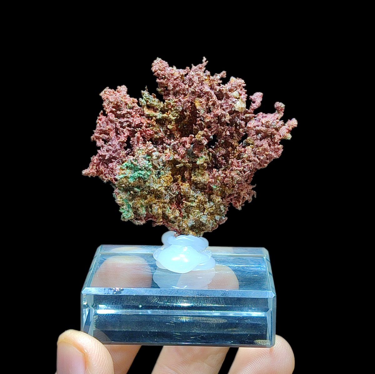 Native coppers from  Bounhas Mine Morocco for sale on my etsy shop [cristalprince.etsy.com] free shipping &amp; 15% discount off
#minerals #crystals #etsyshop
