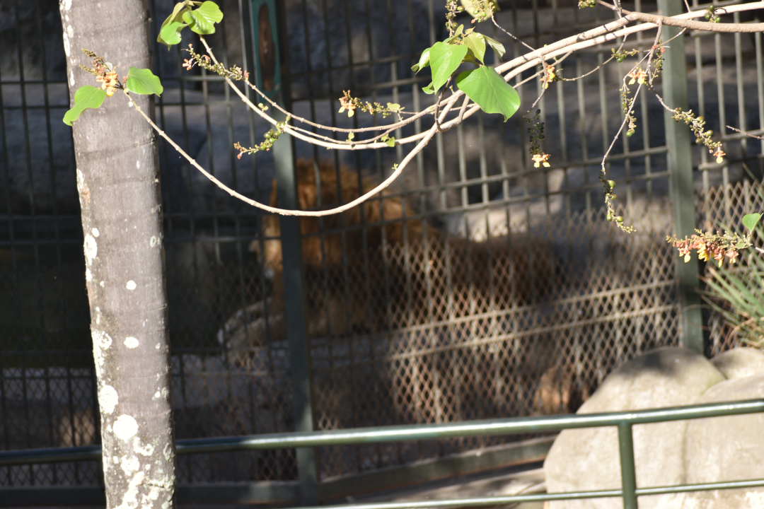 _rycko's tweet image. Orizaba photos #photos #photography #photo #photooftheday #photographer #photograph #photoart #photographers #orizaba #mexico